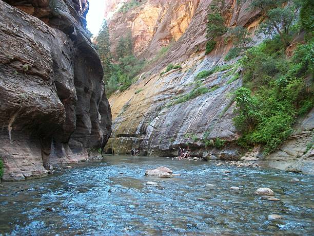 istock Water from Rocks in Zions Park, Utah. 512288125