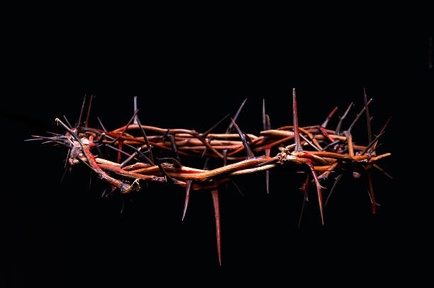 view of branches of thorns woven into a crown view of branches of thorns woven into a crown depicting the crucifixion on an isolated background the passion of jesus stock pictures, royalty-free photos & images