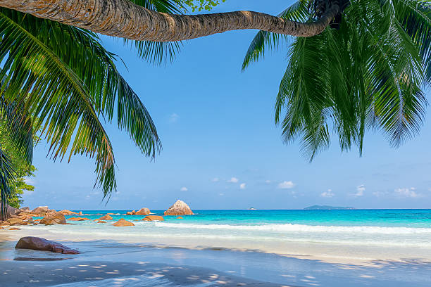istock anse lazio beach, praslin island, seychelles 512292910