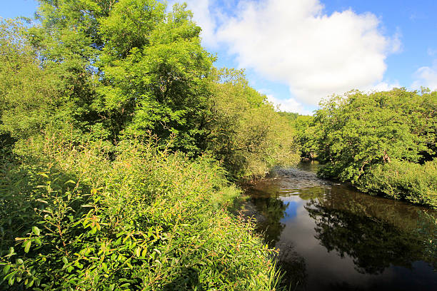 River Teifi in Carmarthenshire, Wales River Teifi in Carmarthenshire, Wales teifi river stock pictures, royalty-free photos & images