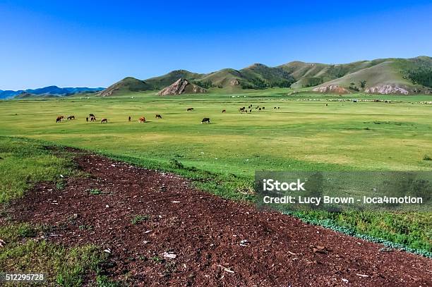 Central Mongolian Steppe Stock Photo - Download Image Now - Agricultural Field, Agriculture, Asia