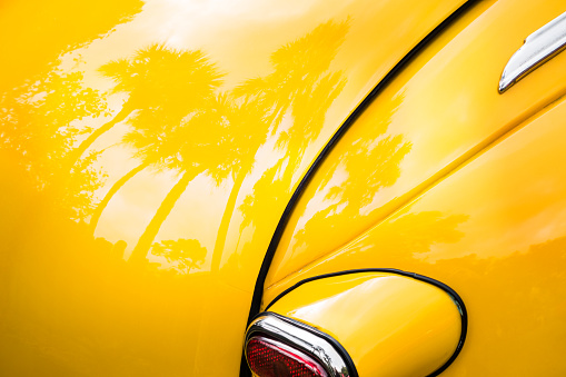 Photo of Palm Trees Reflecting on a yellow colored 1950s Vintage Car in Florida, USA.