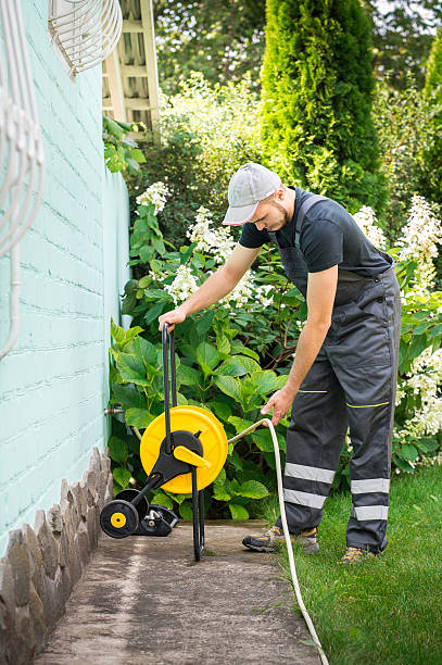 istock Gardener in the garden 512301712