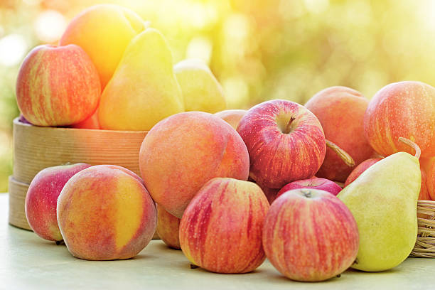 istock Seasonal fruits 512309925