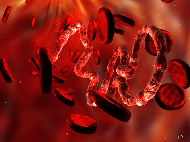istock 3d Digital illustration of Ebola virus, Microscopic view. 512310293