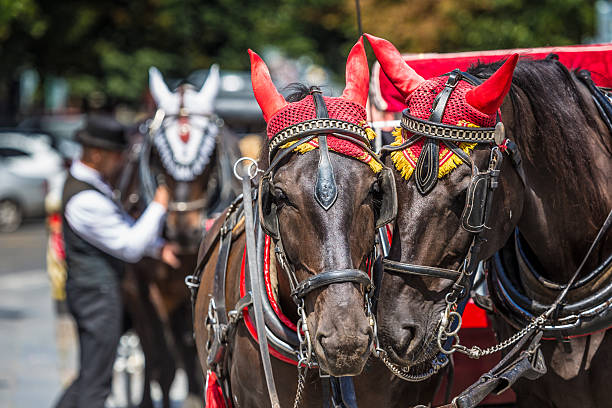 istock Horse Carriage at the Old Square in Prague. 512311627