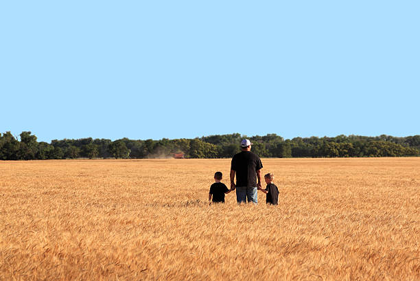 A father and twin sons watching a combine cut a field of wheat in Oklahoma.