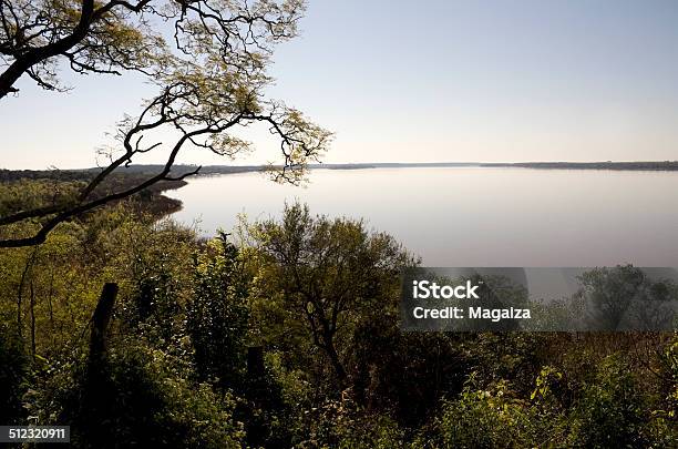 Uruguay River In South America Stock Photo - Download Image Now - Animals In The Wild, Argentina, Back Lit
