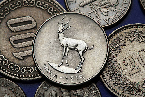 istock Coins of the United Arab Emirates 512321655