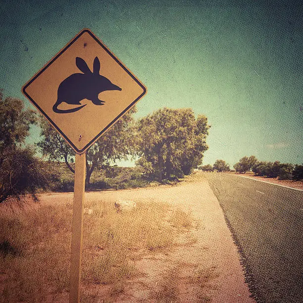 Photo of Australian bilby Sign