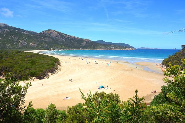 istock Norman Bay beach in Wilsons Promontory National Park 512326884