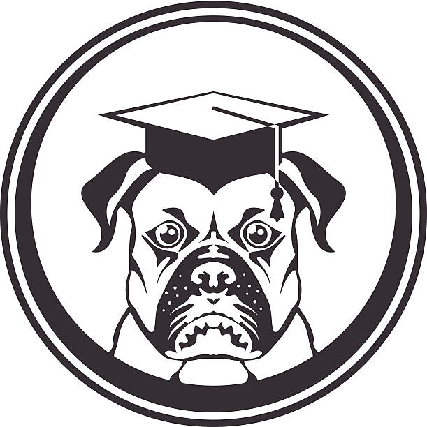 illustrations, cliparts, dessins animés et icônes de smart chien - dog graduation hat school