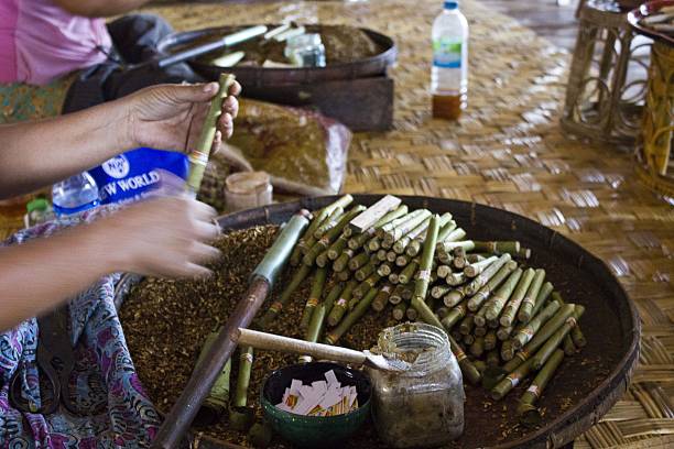 faire des cigares de birmanie - handroll photos et images de collection