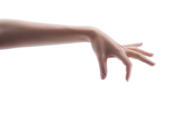 istock Pretty female hand with perfect skin 512329116