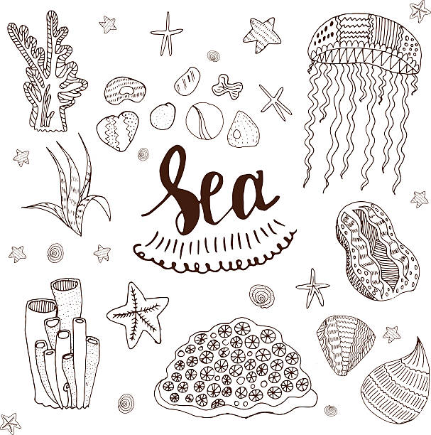 illustrations, cliparts, dessins animés et icônes de éléments de la mer - medusa