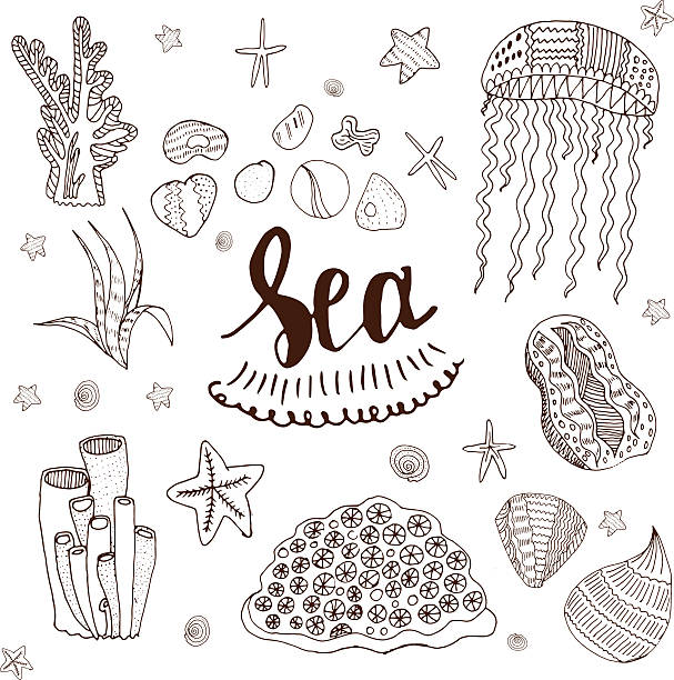 morze elementy - medusa stan nowy jork ilustracje stock illustrations