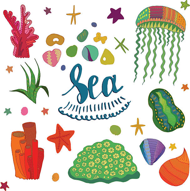 kolorowe elementy morze - medusa stan nowy jork ilustracje stock illustrations