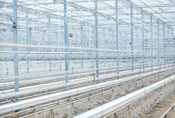 istock Interior of an Empty Industrial Greenhouse 512331886