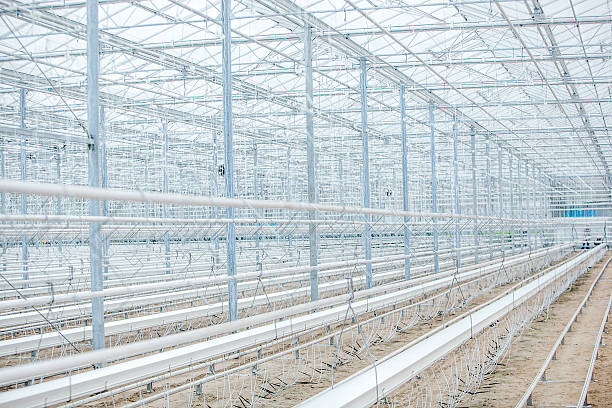 istock Interior of an Empty Industrial Greenhouse 512331918