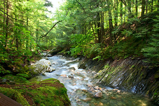 Hancock Branch, White River Long exposure capture of the Hancock Branch of the White River. Texas Falls Recreation Area, Green Mountains, Vermont green mountains appalachians photos stock pictures, royalty-free photos & images