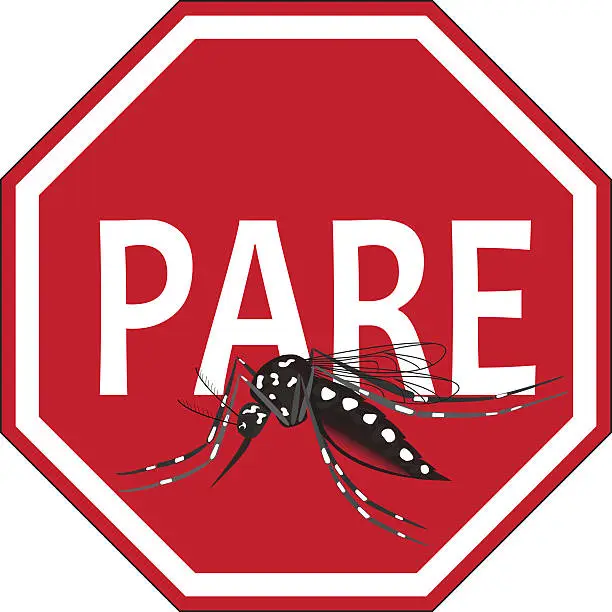 Vector illustration of Pare Aedes aegypti mosquito