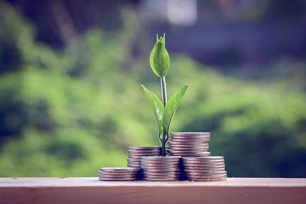 istock Money and plant with hand 512335014