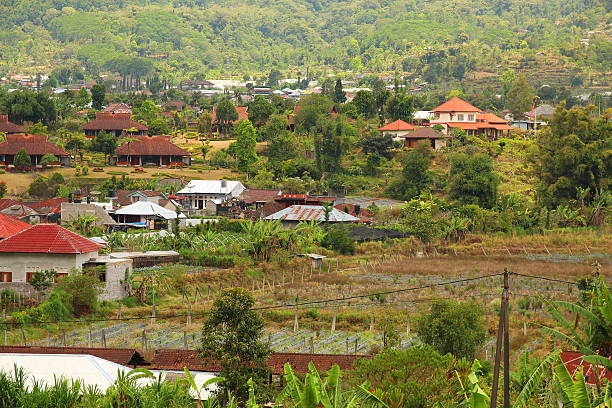 istock Landscape in Bali, Indonesia 512335330