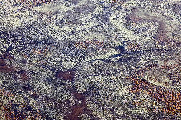 tundra no outono, vista de cima - overhand - fotografias e filmes do acervo