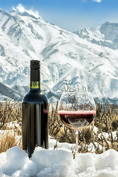 istock Red wine at foot of the Alps 512342824