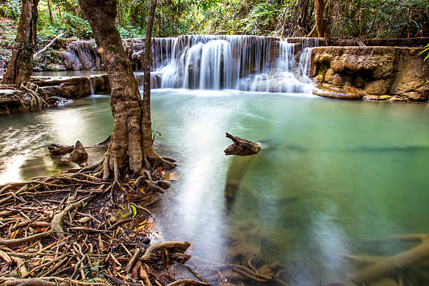 cascada en bosque tropical profunda de la provincia de kanchanaburi, tailandia - kanchanaburi province beauty in nature falling flowing fotografías e imágenes de stock