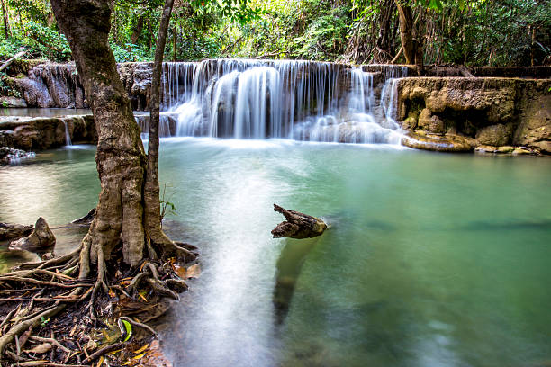 тропический водопад в глубоком лесу провинция канчанабури, таиланд - kanchanaburi province beauty in nature falling flowing стоковые фото и изображения