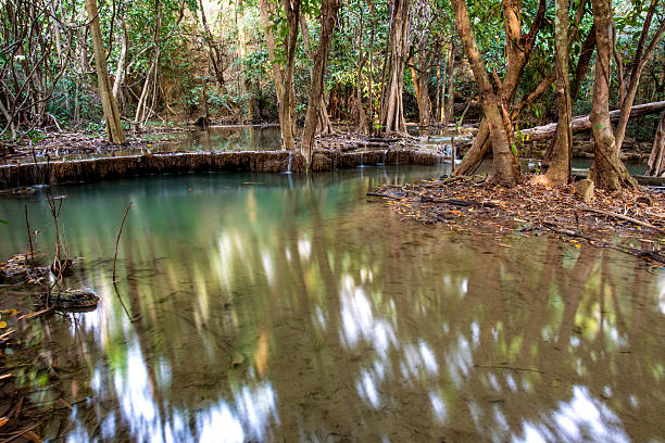 cascada en bosque tropical profunda de la provincia de kanchanaburi, tailandia - kanchanaburi province beauty in nature falling flowing fotografías e imágenes de stock