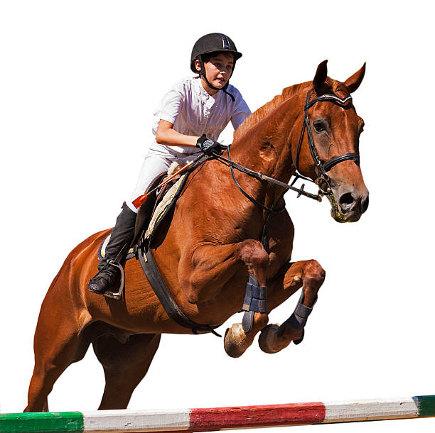 istock Girl on  horse 512343774