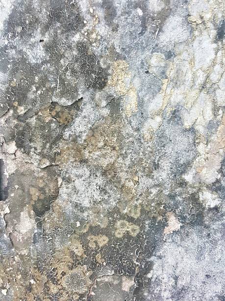 istock grunge and dirty stain on the wood texture 512344552