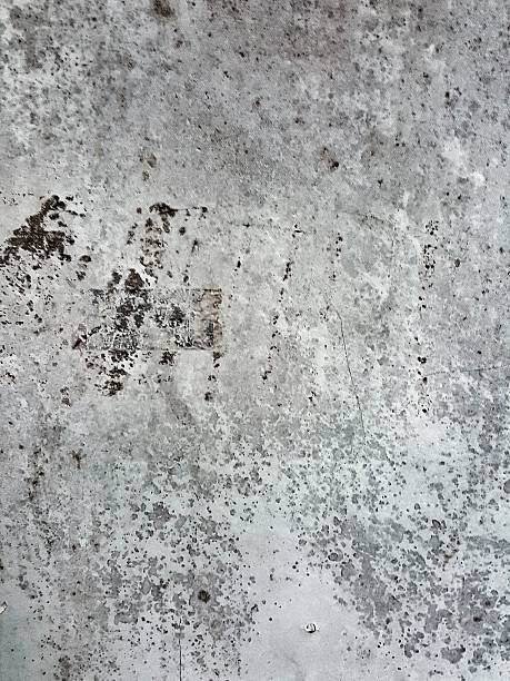 istock grunge and dirty dot stain on wood 512346510