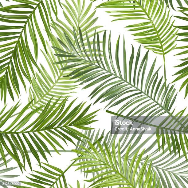 Seamless Tropical Palm Leaves Background For Design Scrapbook Stock Illustration - Download Image Now