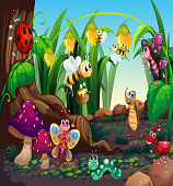 viele-insekten-im-garten-wohnzimmer.jpg?b=1&s=170x170&k=20&c=5fCVolVCc77c_0KkC4BjNvSwARNz-OOiahw5TK48lPU=