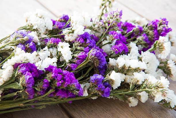 сушеные статицы цветы на дерево, ретро натюрморт, - limonium стоковые фото и изображения