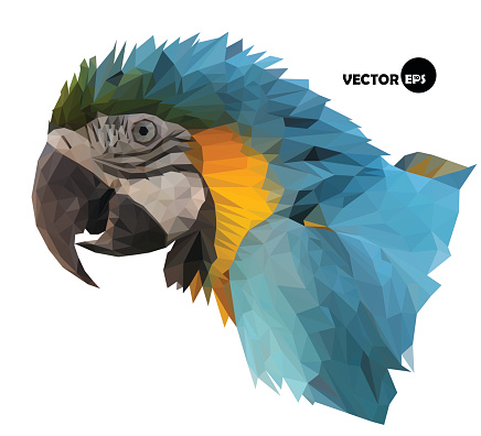 colorful macaw parrot`s head visual identity in low polygon style on white background, vector illustration