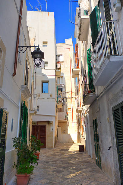 istock Alleyway. Monopoli. Puglia. Italy. 512348998