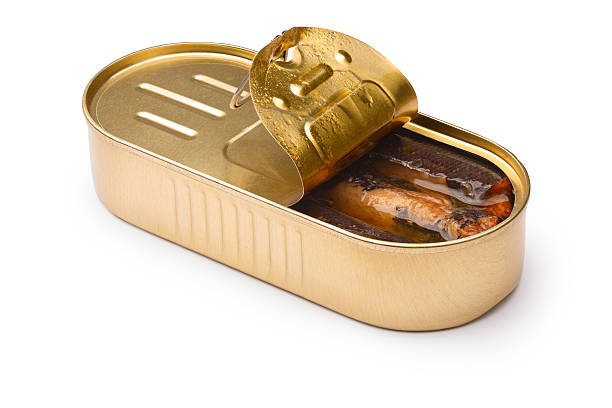 istock Smoked canned fish in tin 512349044