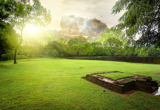 istock Meadow near Sigiriya 512349562
