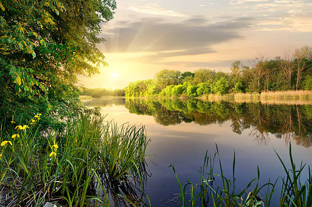 lebendige sonnenuntergang am fluss - clear sky nature landscape field stock-fotos und bilder