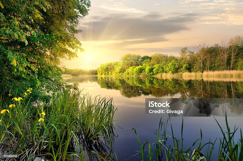 Vibrant sunset on river Vibrant sunset on river in the autumn River Stock Photo