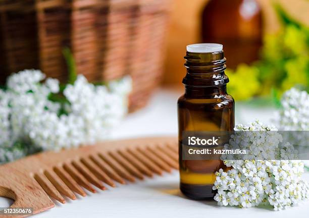 Essential Yarrow Oil Stock Photo - Download Image Now - Cooking Oil,  Essential Oil, Human Hair - iStock