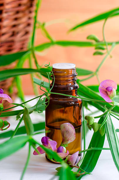 istock Small bottle of essential oil 512351230