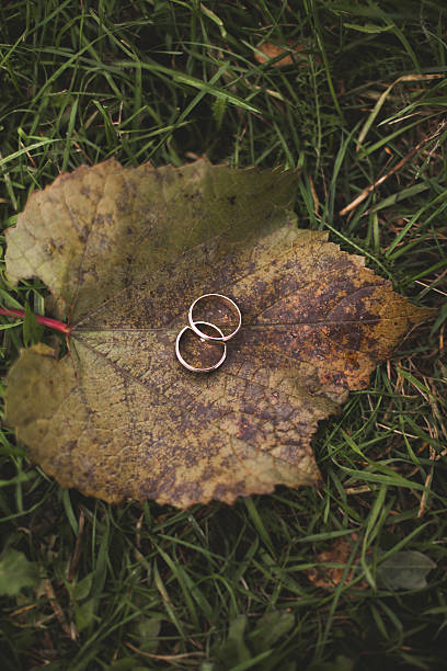 istock luxury wedding rings with stylish decoration near them 512351806