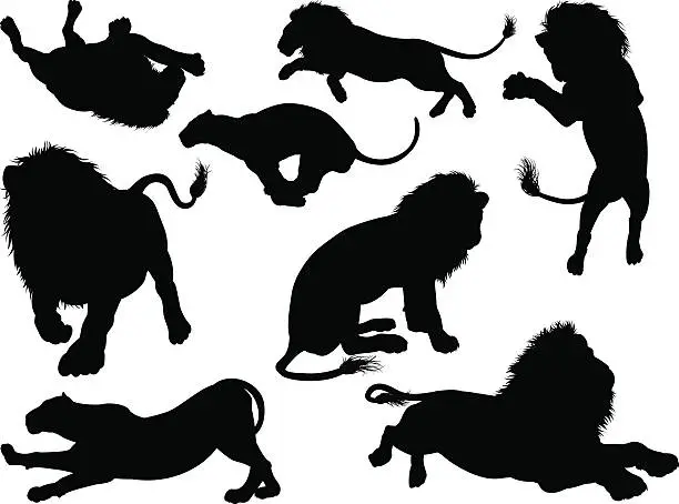 Vector illustration of Silhouette Lions