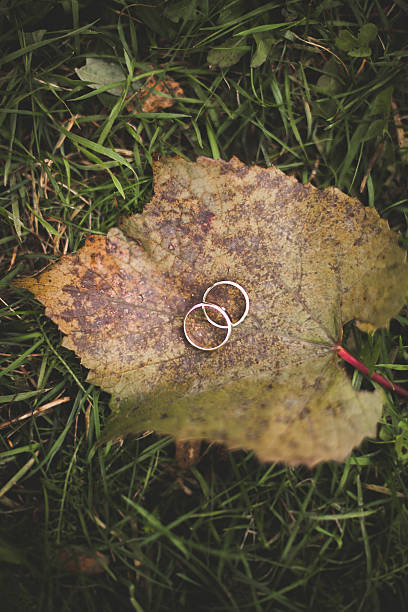 istock luxury wedding rings with stylish decoration near them 512352066