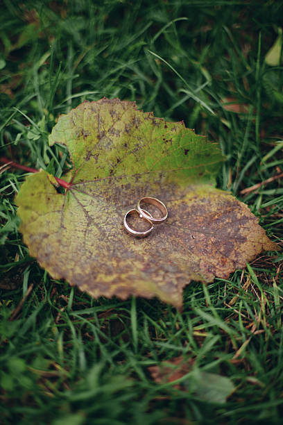 istock luxury wedding rings with stylish decoration near them 512352180